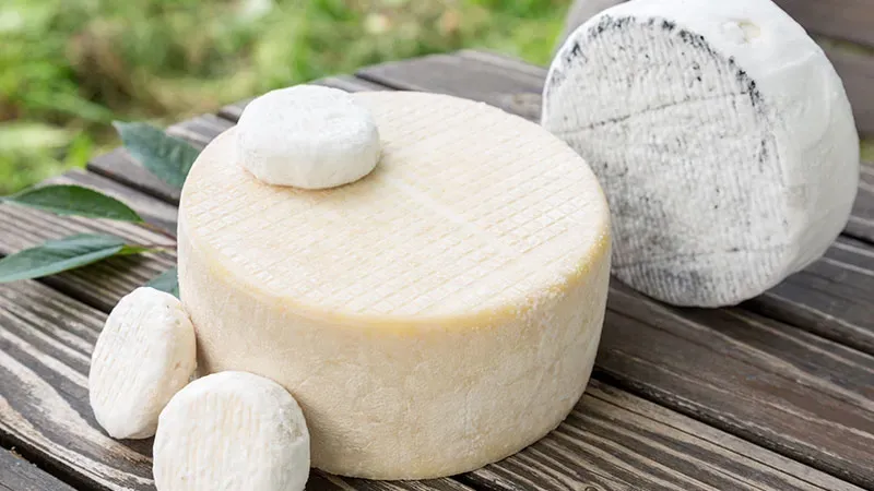 fromage pâte molle